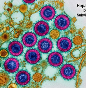 Hepatites virais podem evoluir por anos sem sintomas; infectologista alerta para a importância do diagnóstico precoce