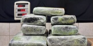 PF apreende 13 kg de entorpecente no Aeroporto de Porto Velho/RO