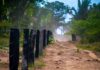 Novo decreto federal abre caminho para acelerar regularização fundiária e destravar desenvolvimento de Rondônia
