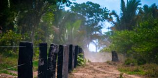 Novo decreto federal abre caminho para acelerar regularização fundiária e destravar desenvolvimento de Rondônia