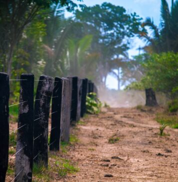 Novo decreto federal abre caminho para acelerar regularização fundiária e destravar desenvolvimento de Rondônia