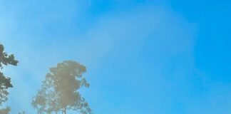 PF e ICMBio deflagram Operação Caraíba IV no Parque Nacional Mapinguari