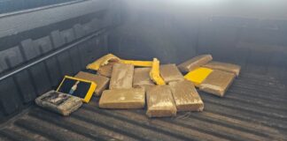 Ação conjunta entre PRF em Rondônia, PMRO e PCRO resulta na apreensão de cerca de 250 kg de drogas em Alto Paraíso/RO