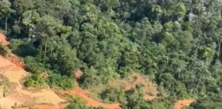 Homem é denunciado por chefiar garimpo ilegal de diamante dentro de terras indígenas de Rondônia