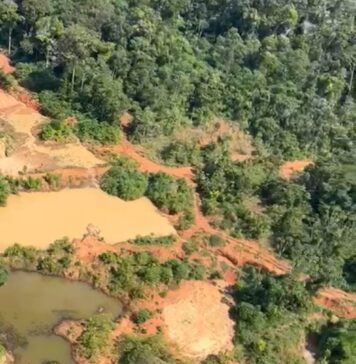 Homem é denunciado por chefiar garimpo ilegal de diamante dentro de terras indígenas de Rondônia