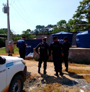 Fazendeiro é preso por furtar energia para irrigar lavoura de café em Rondônia
