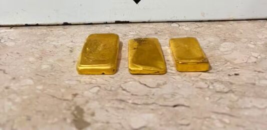 Homem é preso pela Polícia Federal com 1,2 kg de ouro em RO