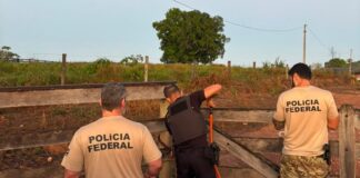 PF faz operação em três estados contra grupo suspeito de causar dano ambiental de R$ 11,3 milhões