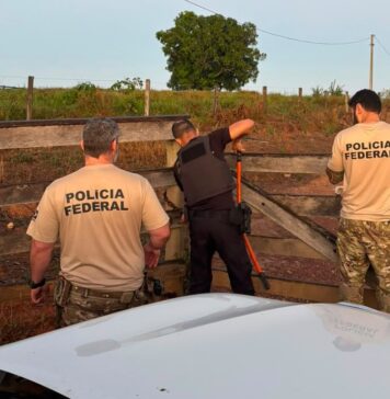 PF faz operação em três estados contra grupo suspeito de causar dano ambiental de R$ 11,3 milhões