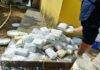 Draco2 e PRF encontram 160 kg de skunk escondidos em baldes de massa corrida