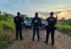Operação mira fraude com gado entre Rondônia e Mato Grosso que supera R$ 30 milhões