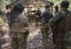 PF combate extração ilegal de madeira em terra indígena de Rondônia