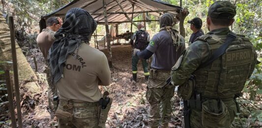 PF combate extração ilegal de madeira em terra indígena de Rondônia