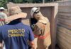 Furto de energia pesa no bolso de quem paga a conta corretamente, coloca vidas em risco e prejudica toda a população