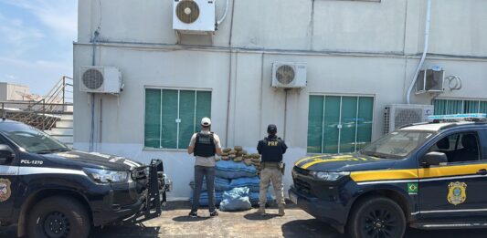 Ação conjunta entre PRF e PCRO resulta na apreensão de quase 200 kg de “supermaconha” em Rondônia