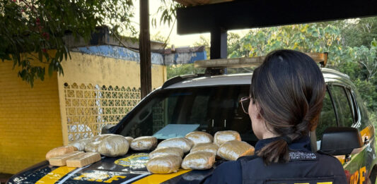 PRF apreende drogas transportadas em motocicleta na BR-364 em Porto Velho/RO