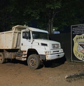 Furtos e Roubos localiza em mata caminhão roubado por bando armado