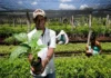 Órgãos públicos já contrataram mais de R$ 8,5 milhões de microempreendedores e agricultores familiares em Rondônia