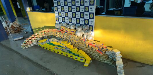 PRF apreende mais de 600 kg de drogas escondidos em caminhão na BR-364 em Rondônia