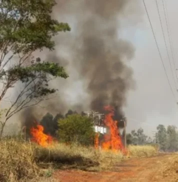 Energisa alerta para riscos das queimadas próximas à rede elétrica e reforça orientações de segurança em Rondônia
