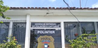Polícia Civil de MT prende casal de foragidos da Justiça de Rondônia em Cuiabá