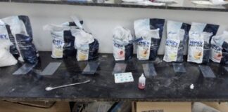 PF combate o tráfico interestadual de cocaína por via postal em Rondônia