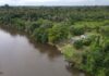 MPF recomenda que prefeitura de Guajará-Mirim (RO) faça atendimentos de saúde na comunidade tradicional Cajueiro