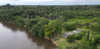 MPF recomenda que prefeitura de Guajará-Mirim (RO) faça atendimentos de saúde na comunidade tradicional Cajueiro