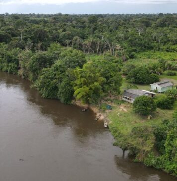 MPF recomenda que prefeitura de Guajará-Mirim (RO) faça atendimentos de saúde na comunidade tradicional Cajueiro