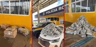 Casal é preso com mais de 50 kg de skunk em porta-malas de carro