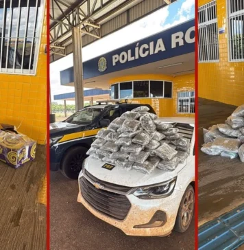 Casal é preso com mais de 50 kg de skunk em porta-malas de carro
